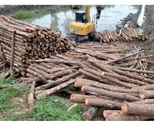 蕪湖市灣沚區(qū)水系連通及農(nóng)村水系綜合整治工程陶辛項目區(qū)工程